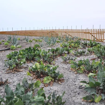 Calma Eco Sunset View Nyaraló *