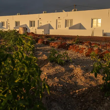 Calma Eco Sunset View *